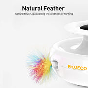 ROJECO 2-in-1-Smart-Katzenspielzeug