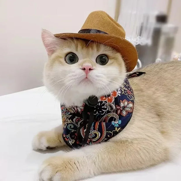 Cowboyhut für Katzen