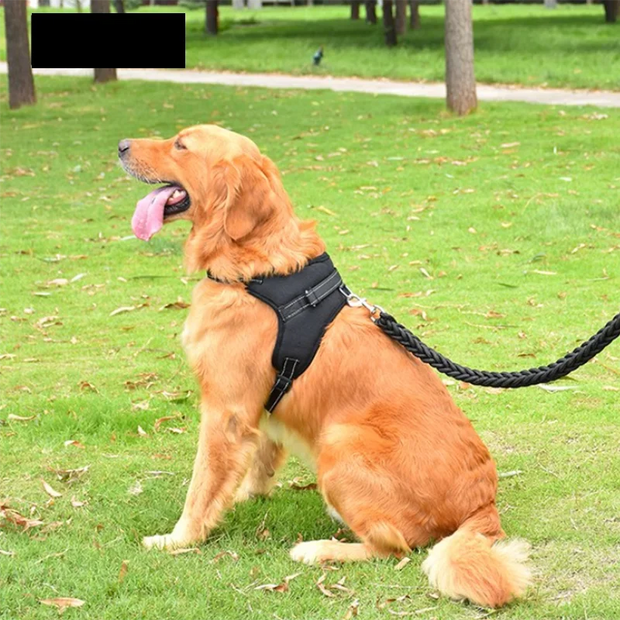 “Verstellbares Hunde-Leine mit 150cm starker, reflektierend – für kleine & große Hunde”