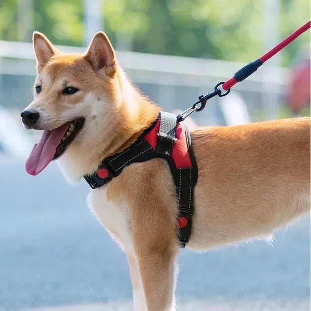 “Verstellbares Hunde-Leine mit 150cm starker, reflektierend – für kleine & große Hunde”