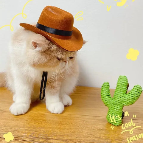 Cowboyhut für Katzen