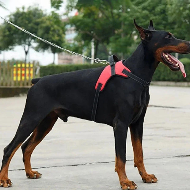 “Verstellbares Hunde-Leine mit 150cm starker, reflektierend – für kleine & große Hunde”